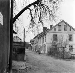 Snippen på Rodeløkka. November 1957