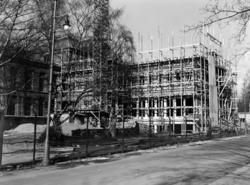 Ullevål sykehus utvider. Ny kirurgisk avdeling. Mars 1955.
