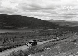 Utsikt over området mot Ålfjell.