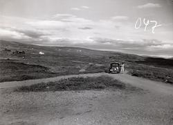 Syndin, Vestre Slidre.