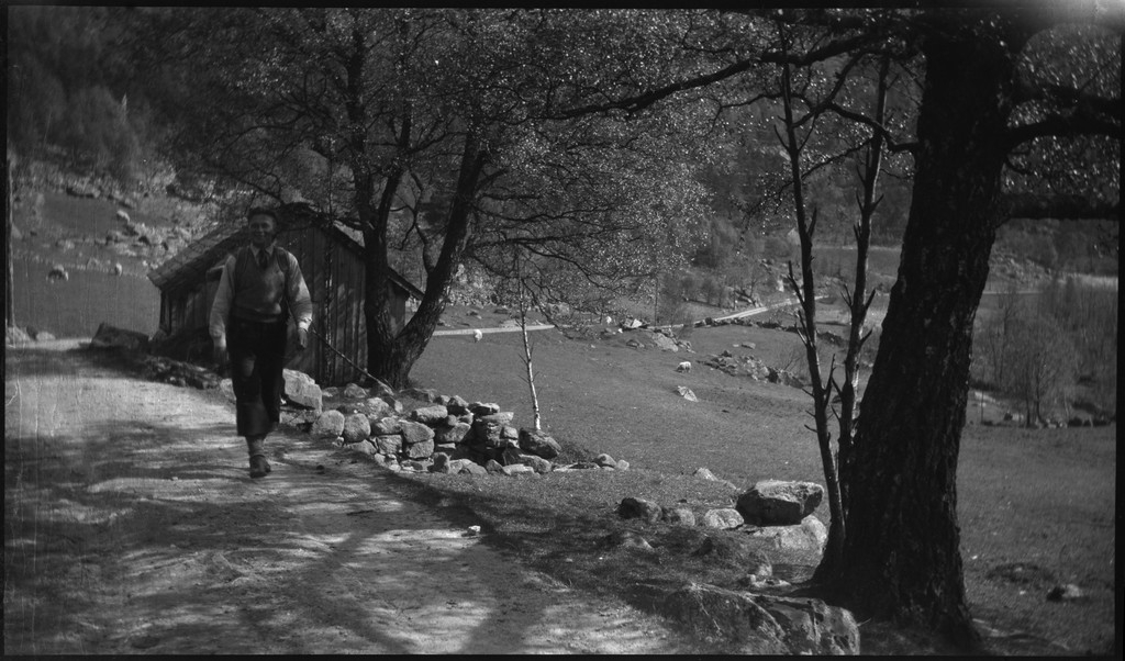 Harald Bergsaker og fotografen besøker flere små gårdsbruk og bygder i Strand kommune. Det er bilder fra landskap, bebyggelse, barn, sauer og lam. Frukttrærne står i full blomst.