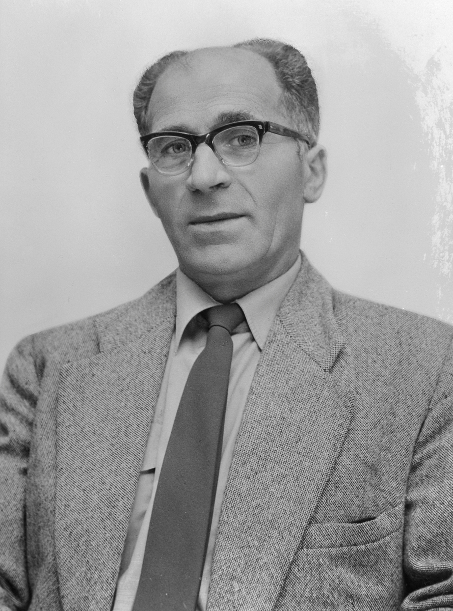 Ordfører i Meløy M. Nystad (kopi)