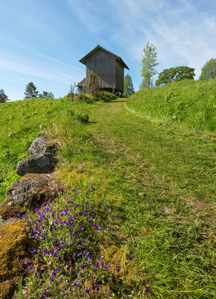 Fra Oppistun Børli. Husmannsplass i Eidskog kommune, Hedmark. Den er kjent som et kunstnerhjem ettersom forfatteren Hans Børli (1918–1989) ble født og vokste opp her. Stedet ble ryddet av skogfinner tidlig på 1700-tallet. Børli-familien ble knyttet til stedet da Hans Børlis oldefar bosatte seg her i 1860. Hans Børli bodde i barndomshjemmet fram til 1946.