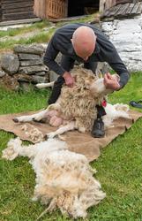 Fra "Fløttdagen" på Dølmotunet 2016, Tolga, Hedmark. Musea i