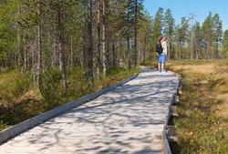 Bilder fra Blokkodden Villmarksmuseum ved Drevsjøen i Engerd