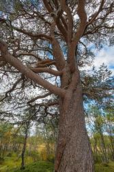 Bilde tatt i forbindelse med befaring på Daniel Mortensons v