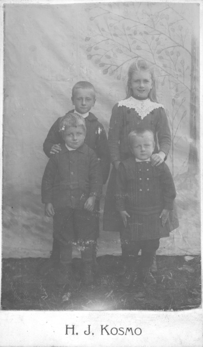 Album med portrettbilder. Albumet har tilhørt Aksel Konrad Mikkola og hans hustru Kathinka Marie, f. Mikkelsen. Det er nå i Solbjørg Mikkolas eie. Navnene til de portretterte er for en stor del ukjente, men mange er fra Neiden og Sør-Varanger. Kathinka kom opprinnelig fra Lofoten, og en del av bildene viser hennes familie i Nordland