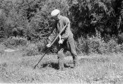 Ljå, slåttonn, arbeidsteknikk, slåttekar,