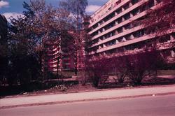 Blokker på Marienlyst.