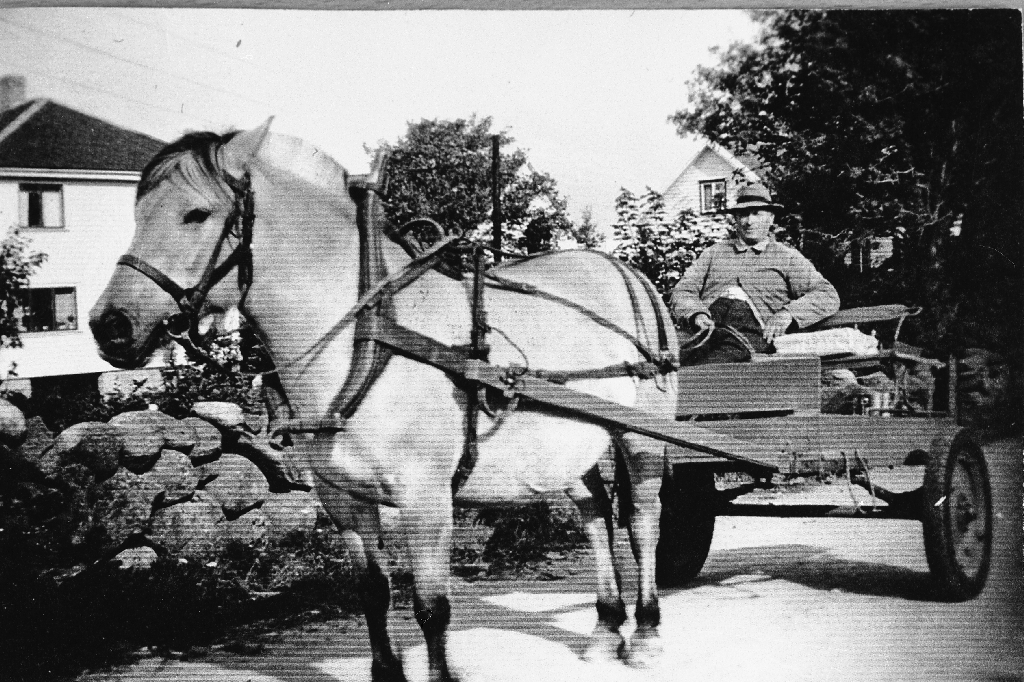 Thorvald Svendsen Bryne (24.8.1890 - 8.11.1962) kjøyde til Bryne med hest og kjerre kvar dag. Biletet er teke på toppen av bakken mot Tinghaug.