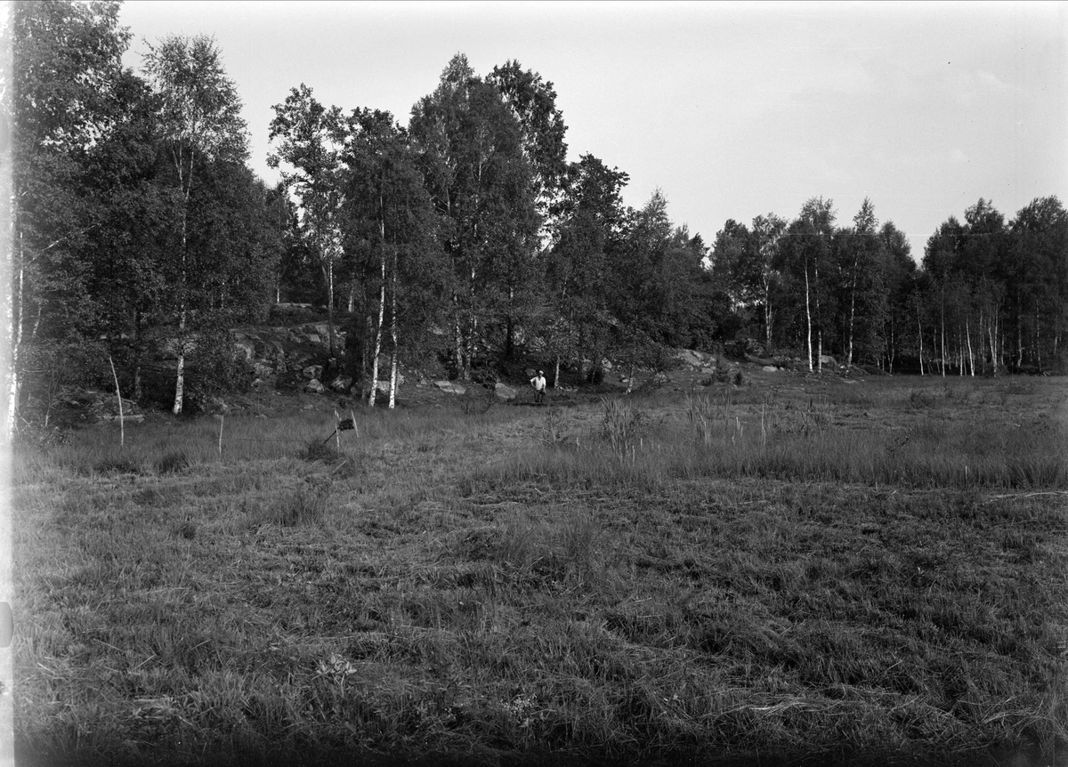 Man vid fynd av stockbåt i Sjömossen, Dragmansbosjön, Altuna socken, Uppland år 1941