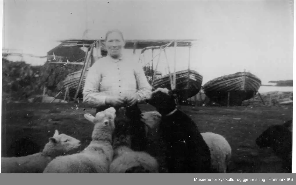 Lorntine Jessen med sauer, båter i Astrupbukta, 1934