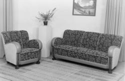 Salong. Sofa og lenestol.