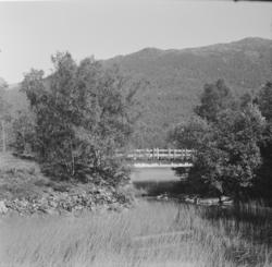 Bro på Nesttun-Osbanens gamle trase.