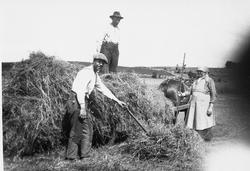 Høykjøring. F. v. Johs. Erga, Tollef Line (12.12.1863 -31.10