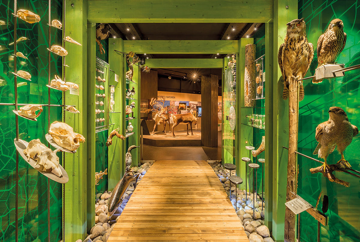 green portal in TRÅKK on the 2nd floor of Anno Norwegian Forest Museum. Stuffed birds and skulls on both sides of the portal