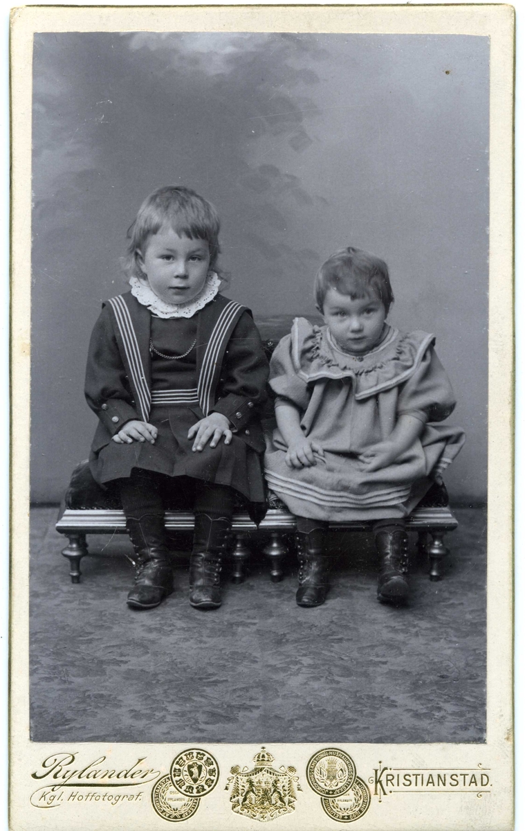Kabinettsfotografi: två små barn sittande på en bänk: Harald 3 år och Greta 1½ år.