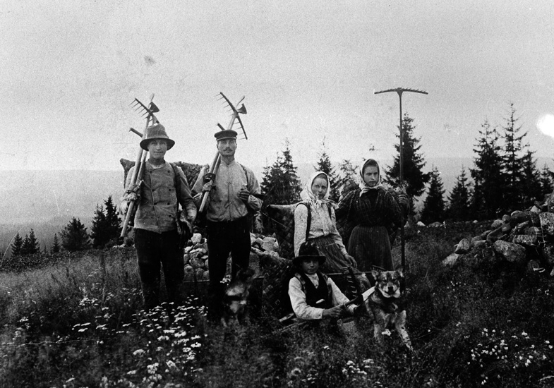 Syskonen Olsson på väg på myrslåtter, från vänster: August Olsson, Vattaho Olof Olsson, Karin Olsson (gift Aspelin F. 1879 D. 1941), Anna Olsson, Johan Olsson (sittande, F. 1888 D. 1964)