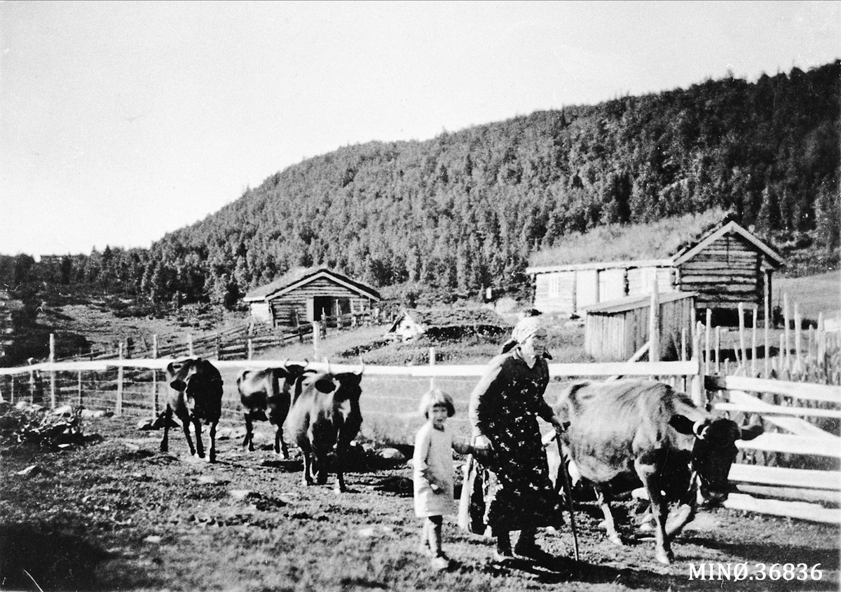 Seterflytting - Anno Musea i Nord-Østerdalen / DigitaltMuseum