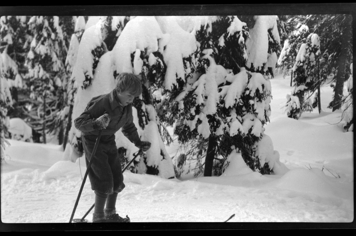Rolf Sundt Jr. på ski i Nordmarka. Fotografert 1930/31.