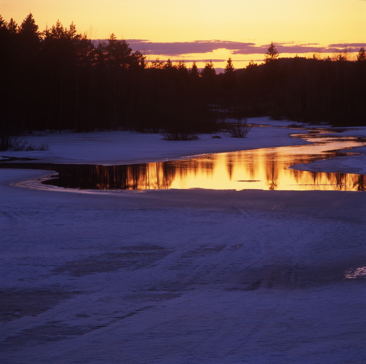 Solnedgång över skog och vatten mellan Tegeltjär och Skästra 22 april 2001.