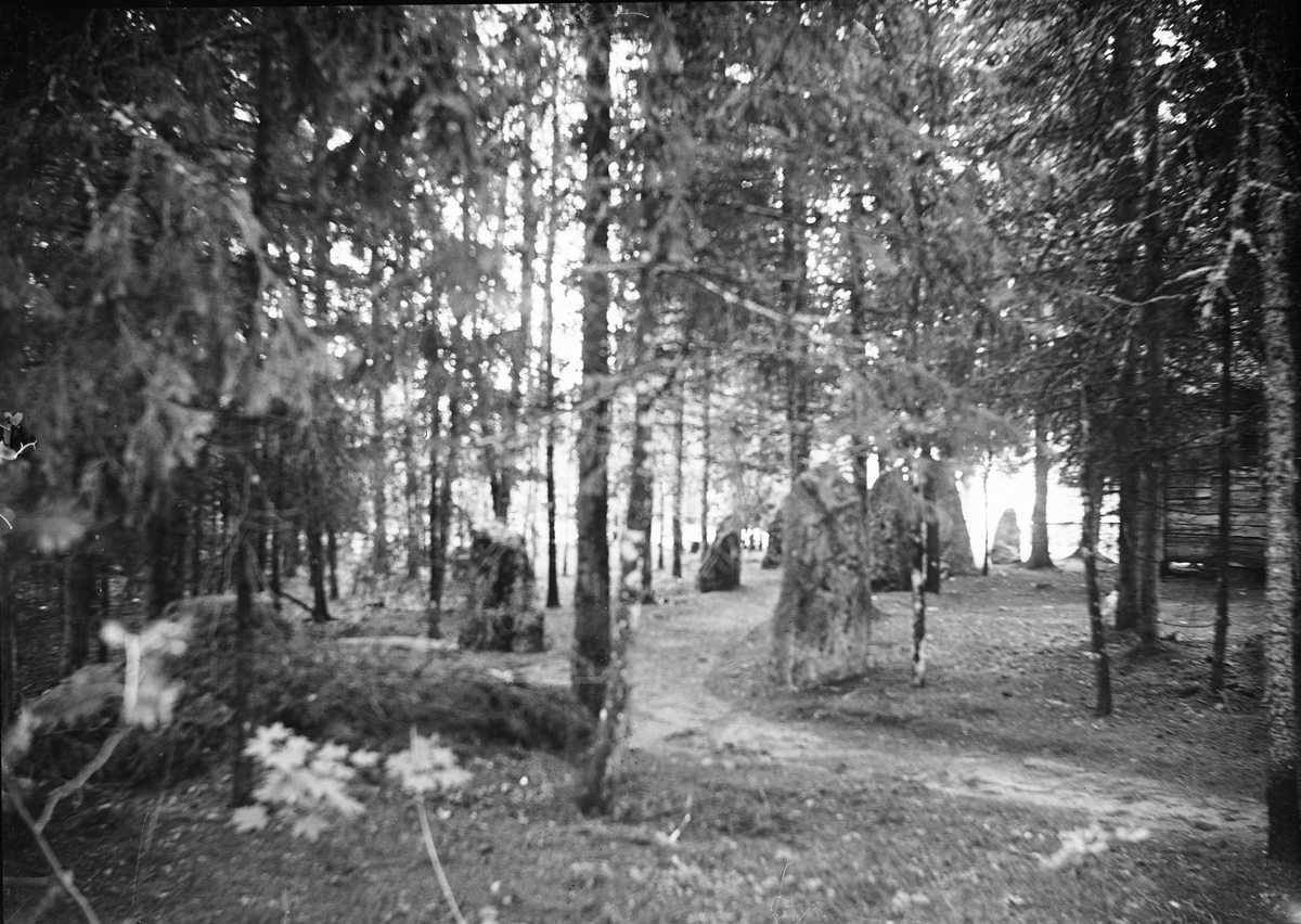 "Bautastenar Göksbo", Altuna socken, Uppland 1918