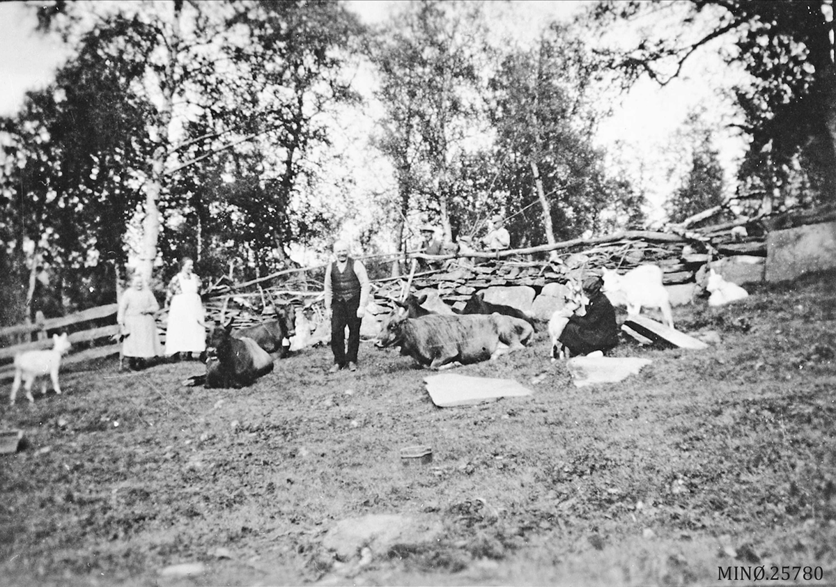 Østgardsåsen, Nystuvollen fv Anne Engan, Østgård, Esten