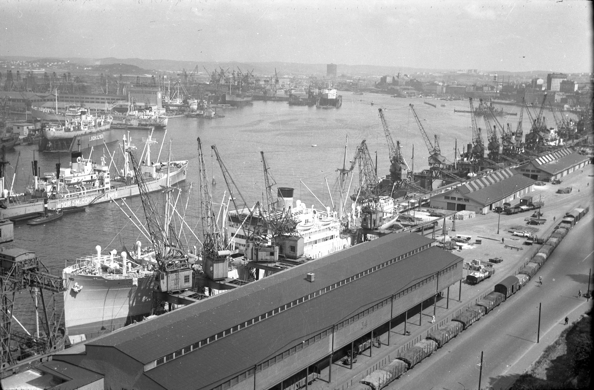 Göteborgs hamn, sedd från Sjöfartskampanilen, 1951.