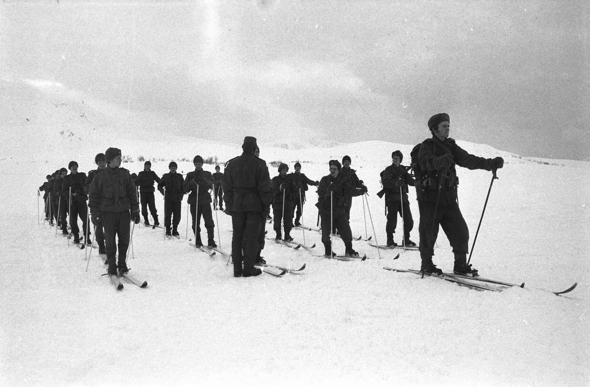 Befalsskolen Nord Norge, vinterskyting på Melå-platået. Befalsskoleelever oppstilt på ski.