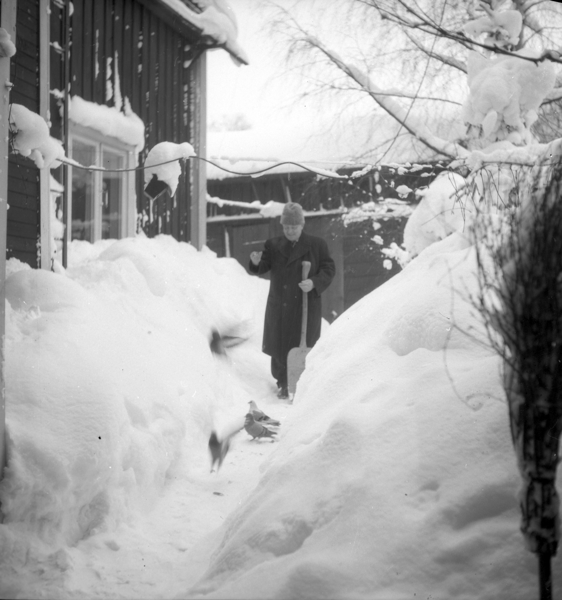 Snösvängen i Gävle

