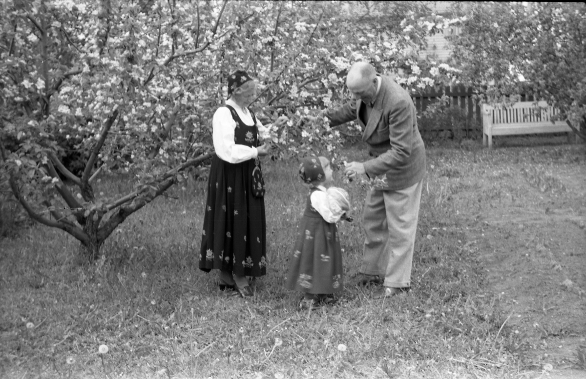 Serie på 11 helfigurs portretter av Dagmar og Michael Nordrum med dattera Else Marie mot en bakgrunn av et blomstrende frukttre. Noen av bildene er av de tre sammen, noen av mor og datter som begge bærer bunad, og noen av Else Marie alene.