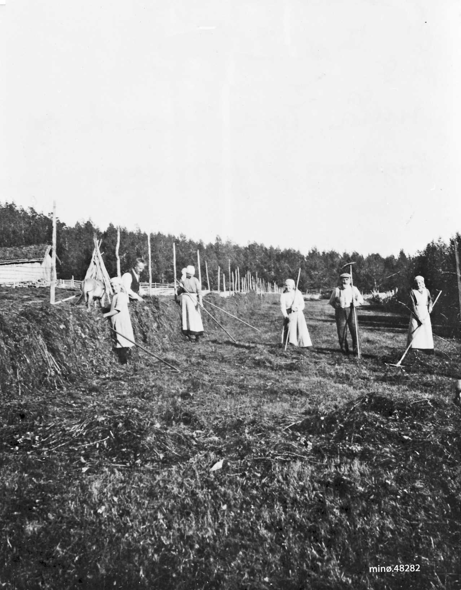 Slåttonn i Nyrønningen, august 1928, Edvard Nyrønning ved hesja. 