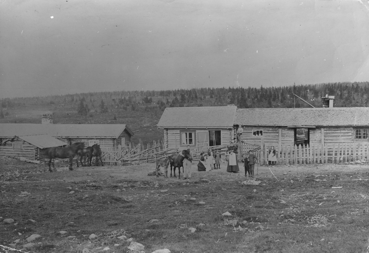 Vangvollen i Rendalen, 1899. 