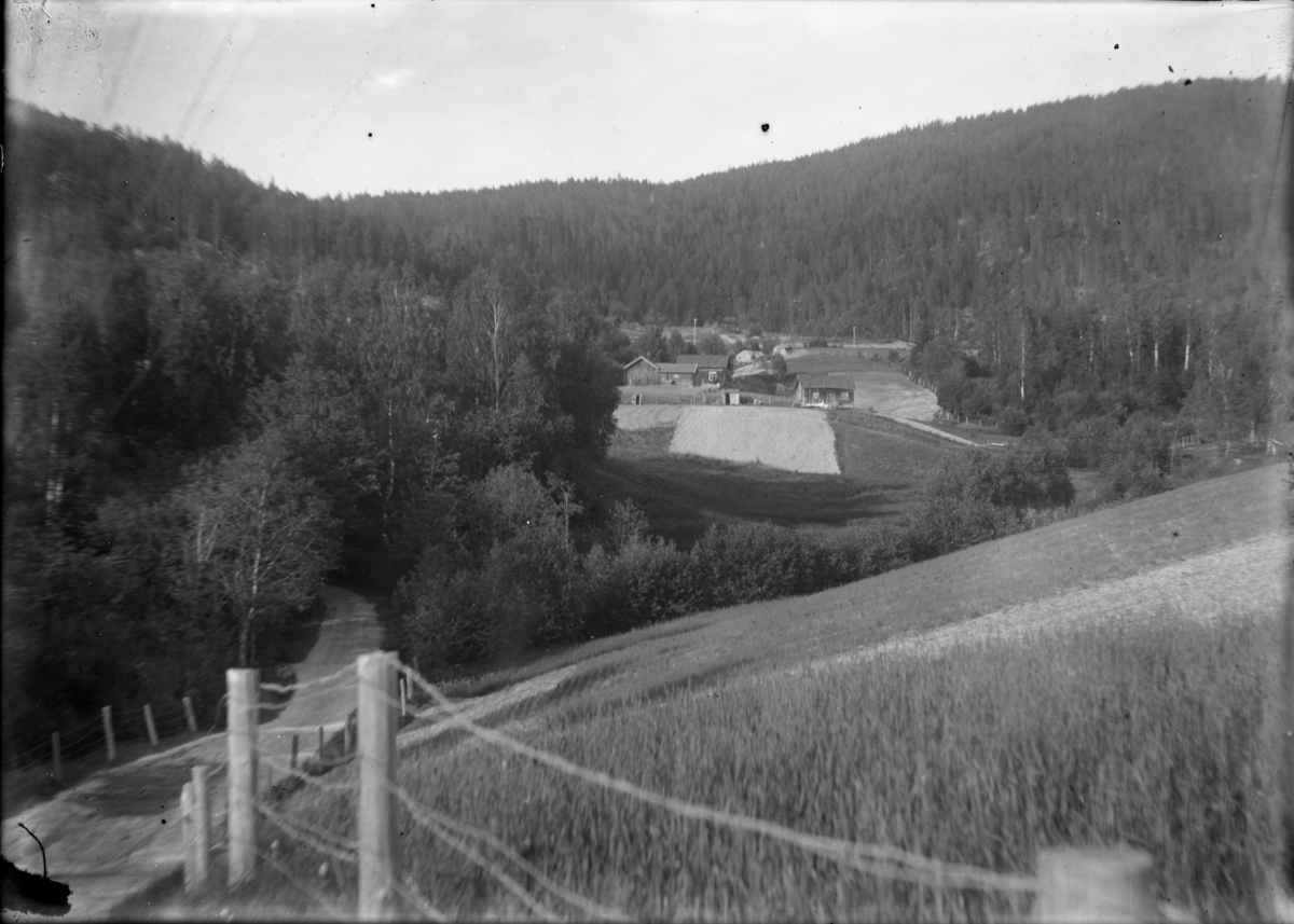 Rikard Berges fotoarkiv. Landskap, gårdshus, Sauherad. Fotografert 1919.