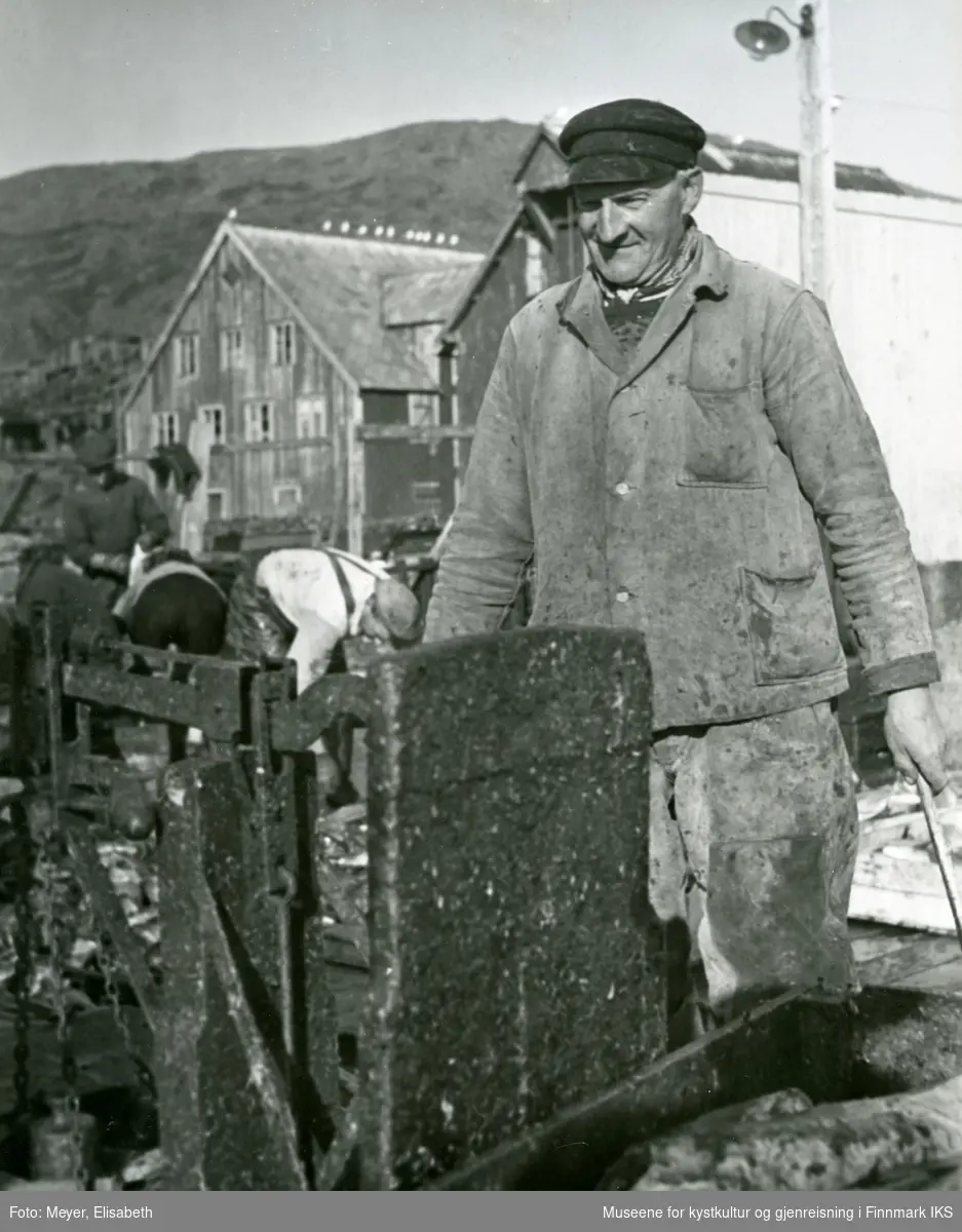 Alfred Olsen veier fisk på ei stor vekt på kaia. 1940.