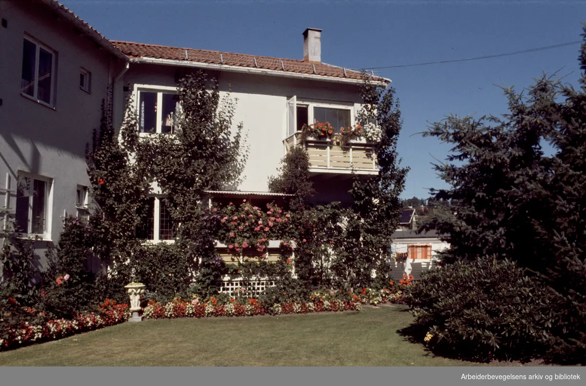 Nils Bays vei 48. ble premiert i konkurransen om vakre og velstelte hager. Oktober 1976