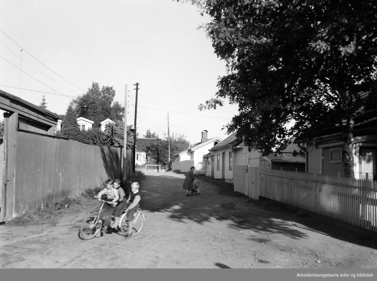 Fridtjovs gate. Privat gate. Vålerenga. Barn på sykkel.Oktober 1955