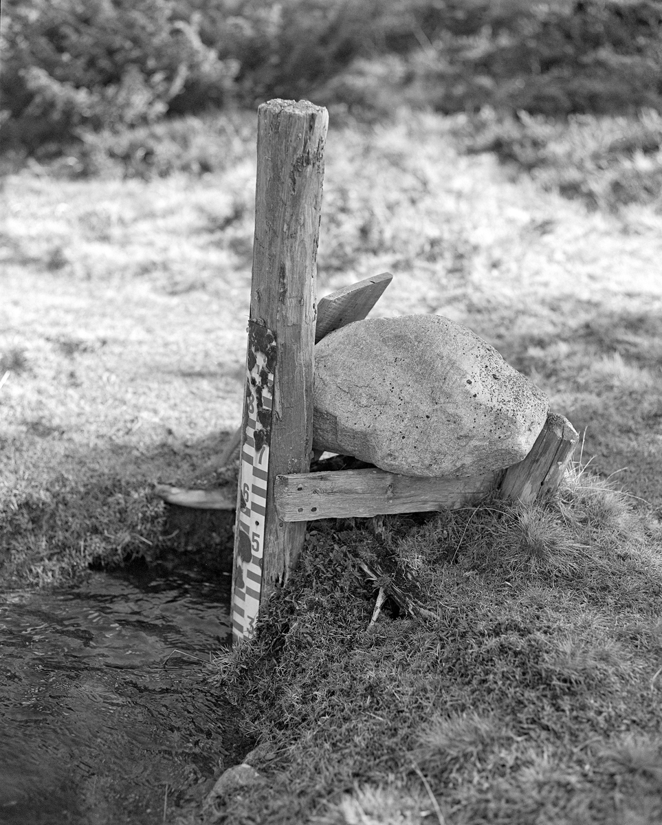 Vannstandsmerke ved Myrstadvelta ved Femundselva i Engerdal i Hedmark. Bildet viser en gjerdestolpe som er drevet ned i bakken ved kanten av et vassdrag.  Stolpen er forankret i bakenforstående støttepæler ved hjelp av bordstubber.  Oppå disse bordstubbene er det lagt en stein for å stabilisere montasjen ytterligere.  I forkant av stolpen er det montert en målestav av jernblikk med markeringer, antakelig av centimetermål.  I så fall var vannstanden bortimot 30 centimeter over nullpunktet da dette fotografiet ble tatt, våren 1986.  Fløterbasen i området var stadig bortom dette målestedet for å kunne følge vannstandsutviklinga.  Avlesningene var beslutningsgrunnlag for manøvreringa av lensa i Sennsjøen lengre nede i vassdraget.  I denne sammenhengen var marginene små.  Dersom Sennsjølensa ble sluppet på et tidspunkt da det var for mye vann i den ovenforliggende delen av vassdraget, ble konsekvensen at mye av tømmeret fløt på vannspeilet over elbrinken lengre sør i Trysil.  Derfra måtte det bæres tilbake ti elveløpet når vannstanden omsider sank.  Dette var naturligvis et ressurskrevende ekstraarbeid, som det var viktig å unngå.  Under et besøk på denne lokaliteten i 2017 oppdaget pensjonert fløtersjef Kåre Joar Graff at målepunktet hadde løsnet.  Etter et mislykket forsøk på å få festet det igjen, ble pålen med målestaven tatt opp og lagt i redskapsbua ved Steinbekkoia.