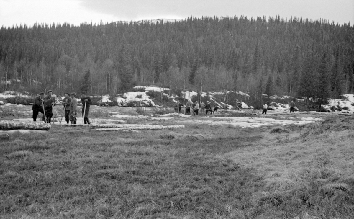 Utislag av fløtingstømmer i elva Lebba, et av elveløpene i Gausavassdraget, våren 1957. Fotografiet er tatt ved Svanvollan, som ligger i Sør-Fron kommune, like nord for kommunegrensa mot Gausdal.  Bildet ble tatt fra den nevnte vollen, der fløterne sto og snakket sammen i grupper ved noen tømmerstokker som ennå ikke var rullet ut i elva.  I bakgrunnen ser vi granskogen av den typen tømmeret var hentet fra.