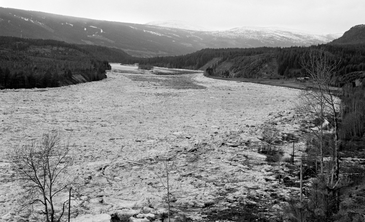 Isgang ved Sundfloen i Stor-Elvdal i begynnelsen av mai 1963.  Fotografiet er tatt fra en elveskråning, i motstrøms retning, ned mot Glommas brede, stilleflytende elveløp.   I forgrunnen lå isen, ispedd en god del tømmerstokker, tettpakket.  Høyere oppe skimter vi åpent vann.  På begge sider av vassdraget var skogen det dominerende vegetasjonselementet.   På ei slette nær elva til høyre i bildet lå det et lite gardsbruk.  Isgang har mang en gang skapt problemer i Østerdalen, særlig når lange og kalde vintrer brått har blitt avløst av varm vårsol, som har fått isen til å brekke opp og drive nedover Glomma i store masser.  I 1904 skrev kanaldirektør Gunnar Sætren følgende: «Undertiden, men heldigvis ikke ofte, forekommer isgang i Glommen, og denne forvolder da store ulemper.  Isbruddet begynder i almindelighed nedenfor Barkalden, undertiden også længere oppe, og stanser sjelden før i Stor-Elvedalen.  Dersom den gaar saa langt som ned til kirken og stanser der, bliver alle øer og hele dalbunden lige op til Sundfloen belagt med is og tømmer.»  Når så ismassene, gjerne ispedd fløtingstømmer, så satte seg fast i trange eller grunne passasjer, kunne det altså bygge seg opp digre vann- og ismasser i områdene ovenfor.  Dette skjedde også i månedsskiftet april-mai i 1963.  Situasjonen ble mer og mer truende.  Den 5. mai oppsto det imidlertid en åpning i isfronten ved Tannfetten, og dermed drev både is og fløtingstømmer langsomt nedover elveløpet.  Noe av isen satte seg riktignok fast på nytt, ved Tremoholmen, men den løsnet snart igjen.  Dermed kunne storelvdølene pustet lettet ut, for Glomma hadde fritt avløp.  Sjøl om det lå igjen en del is og tømmer ved Sundfloen var det lite sannsynlig at situasjonen ble verre igjen, slik at det kunne oppstå nye skader.  Når elva var fylt av is og fløtingstømmer på denne måten, var det naturligvis ikke tilrådelig å krysse den.  I perioder med isgang var det følgelig svært vanskelig for storelvdøler som bodde på vestsida av Glomma å ta seg til kommunesenteret Koppang på østsida og tjenestetilbudet der.  Ikke var det trygg is, og ikke var det åpent vann så ferga kunne gå.  I 1963, det året fotografiet av denne is- og tømmermassen ble tatt, ble det bestemt at Stor-Elvdal kommune skulle få hengebru over elva nettopp ved Sundfloen.  Dermed ble i hvert fall ett av de problemene isgangen i Glomma ofte var årsak til løst.