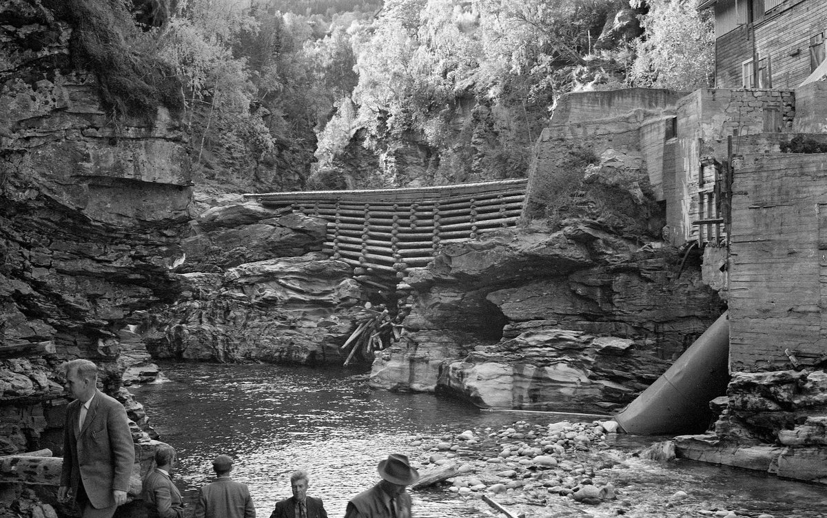 Løftedam ved Loholet i elva Vinstra i grenda Ruste i Nord-Fron, fotografert høsten 1959.  Loholet er en passasje der elva renner i et trangt løp mellom bratte bergvegger.  Her ble det i sin tid bygd en løftedam av tre og steinmasser, som skapte et ni meter høyt fossefall, Vinterbrufossen.  Dette fotografiet er tatt fra dammen, på et tidspunkt da det var sjeldent liten vannføring i elva.  Det lille vannet som kom passerte i et skar som vi bare så vidt skimter til venstre i dette bildet.   Derimot ser vi svært godt hvordan dammen var underbygd av krysslagt tømmer.  Helt til høyre ser vi også litt av den industrielle bebyggelsen på stedet.  I forgrunnen ser vi hodene på en del menn, antakelig deltakere på ei befaring.

Opprinnelig var det brukerne på gardene Øvre Bryn (på sørsida) og Lo (på nordsida) som disponerte fallrettighetene i Lofossen.  Dette representerte en betydelig verdi, for elva hadde stabil vannføring, slik at fossen kunne gi kraft til oppgangssager og kverner.  Stedet lå dessuten sentralt til, ved ei bru på bygdevegen på vestsida av Gudbrandsdalslågen (Baksida).  I 1870 lot Lodver Lo eiendomsspekulanten Peder Carlsen Foss (Fossgarden) leie fallrettighetene ved Loholet og en tilstøtende skogteig med sikte på å bygge sag- eller møllebruk.  Planen ble realisert, men Peder Carlsen gikk konkurs, og både skogeiendommene i Midtdalen og sagbruket ved Vinstrafossen ble solgt på auksjon i 1890-91.  Sagbruket var det tilsynelatende en advokat som kjøpte på vegne av Gjøvik Dampsag & Høvleri, men de overlot kjøpet til to lokale karer, Ole Simensen Kongsli og Johan Olsen Tårud.  Disse dannet et driftsselskap for «Vinstra bruk», der også Ole J. Teige var med som kompanjong.  I 1910, etter at Sigurd Kongsli hadde overtatt farens rettigheter i bruket, ble det installert en liten elektrisk generator i en av turbinene på bruket, den første i sitt slag i Nord-Fron kommune.  Elektrisk lys var attraktivt, og i 1914 kjøpte Sigurd Kongsli en større turbin med større generator.  Dermed kunne Vinstra Bruk også begynne å selge overskuddskraft til sambygdingene, etter hvert gjennom selskapet Nordre Frons Elektricitetsverk.  I 1919 inngikk Sigurd Kongsli avtale om å utvide kraftproduksjonen med nok et anlegg ved Vinstradammen.  Dette anlegget ble satt i drift i 1922.  Året før hadde det kommunale kraftselskapet også satt i drift en kraftstasjon ved Kamsfossen, i Skåbu, høyere oppe i Vinstravassdraget.  Seinere er det der videreutviklinga av kraftproduksjonen i kommunen har skjedd.