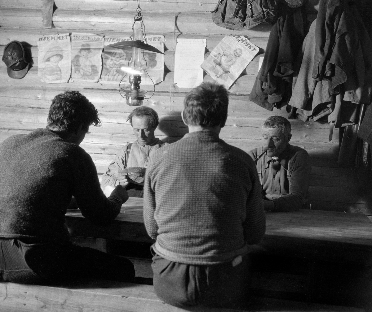 Koieinteriør, antakelig fotografert i andre halvdel av 1920-åra, sannsynligvis i Namdalen i Nord-Trøndelag.  Koia var en laftekonstruksjon.  Vi ser fire karer som spilte kort ved et langbord.  De satt på krakker, to på hver side av det nevnte bordet.  Over bordet hang det ei parafinlampe, og på tømmerveggen bak hadde beboerne i koia hengt opp en del forsider fra ukebladet «Hjemmet» med tegninger av kvinner og barn med klær og frisyrer som var moderne i 1920-åra.  Til høyre i bildet hang en del klær til tørk.

Fotografiet er tatt i forbindelse med undersøkelser forstkandidat Johan Sønnik Andersen gjorde i Hedmark, Oppland og Nord-Trøndelag i andre halvdel av 1920-åra.  Observasjonene og refleksjonene hans ble utgitt under tittelen «Undersøkelse av skogshytter og skogsarbeidernes levevilkår» i 1932.  Dette fotografiet er antakelig fra det feltarbeidet Andersen gjorde i november 1927 i Nord-Trøndelag.  Her var han spesielt opptatt av skogskokkeordningen, som den unge forstkandidaten fikk et meget sympatisk inntrykk av.  Andersen skrev blant annet følgende: «De hygieniske forhold blir helt annerledes i en hytte hvor arbeiderne kommer hjem til dekket bord i rent og varmt hus.  Efter han har spist sig god og mett kan han tenne sin pipe og hvile sig ut.  Man vil neppe kunne tenke sig hvor stor forskjell det er på en hytte hvor der er kokke til å holde orden og en hvor arbeiderne steller hver for sig, hvis man ikke ved selvsyn har hatt anledning til å konstatere det.»  Dette fotografiet er antakelig fra ei av koiene som hadde felleshusholdning med innleid kokke.     

Norsk Skogmuseum har overtatt en del av de fotografiske negativene fra Sønnik Andersens undersøkelser i Hedmark, Oppland og Nord-Trøndelag.  Noen få av disse er brukt som illustrasjoner i det nevnte heftet.  De er imidlertid – antakelig for å sikre involverte skogeiere og skogsarbeidere en viss anonymitet – svært knapt tekstet fra opphavsmannens side.  Dette har naturligvis også fått konsekvenser for hvordan Norsk Skogmuseum kan registrere motivene i sin fotodatabase.