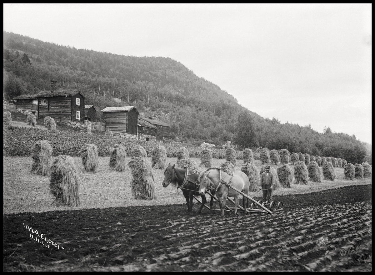 Kort: Nord-Fron 25.08.1908. Landbruk i Byrhagen. Mannen er Johan Berget. Bolighus, uthus, kornnek, mann med hester og harve, skogkledd åsside