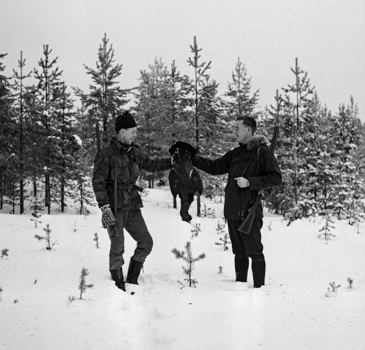 To storfugljegere med en nyfelt tiur, som de holder mellom seg etter beina, slik at hodet peker mot bakken og halefjærene til værs.  Fotografiet er tatt på snødekt mark i utkanten av et ungfurubestand i Stavåsen i Elverum lille julaften 1963.  Jegeren til venstre er fotografenn og friluftsmannen Kjell Søgård. Storfugljakt. 