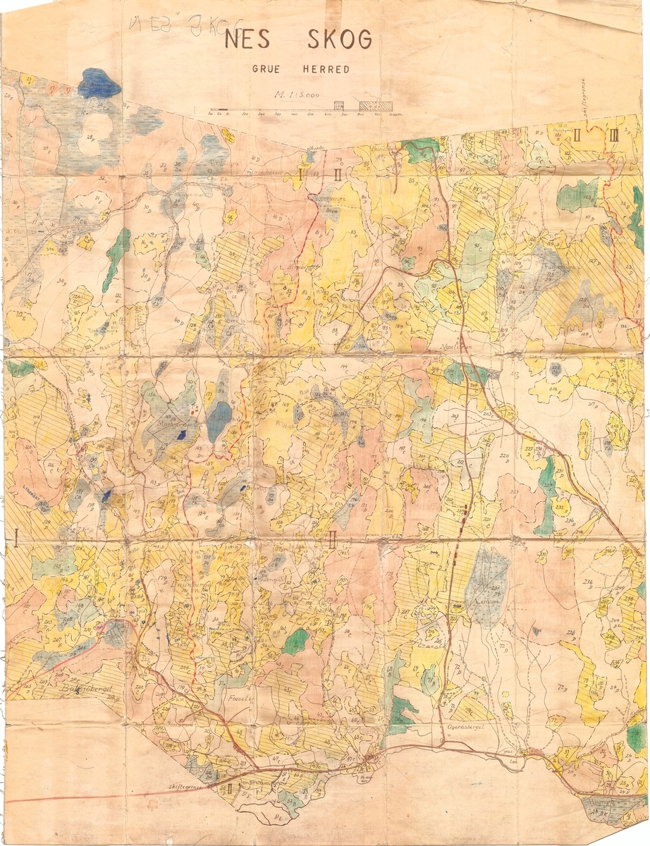 Kart , bestandskart, driftsplankart, over Nes (Næs) Sæterskog, skifte 2 i Grue kommune (Hedmark fylke). 

Kartet har målestokk 1:5000