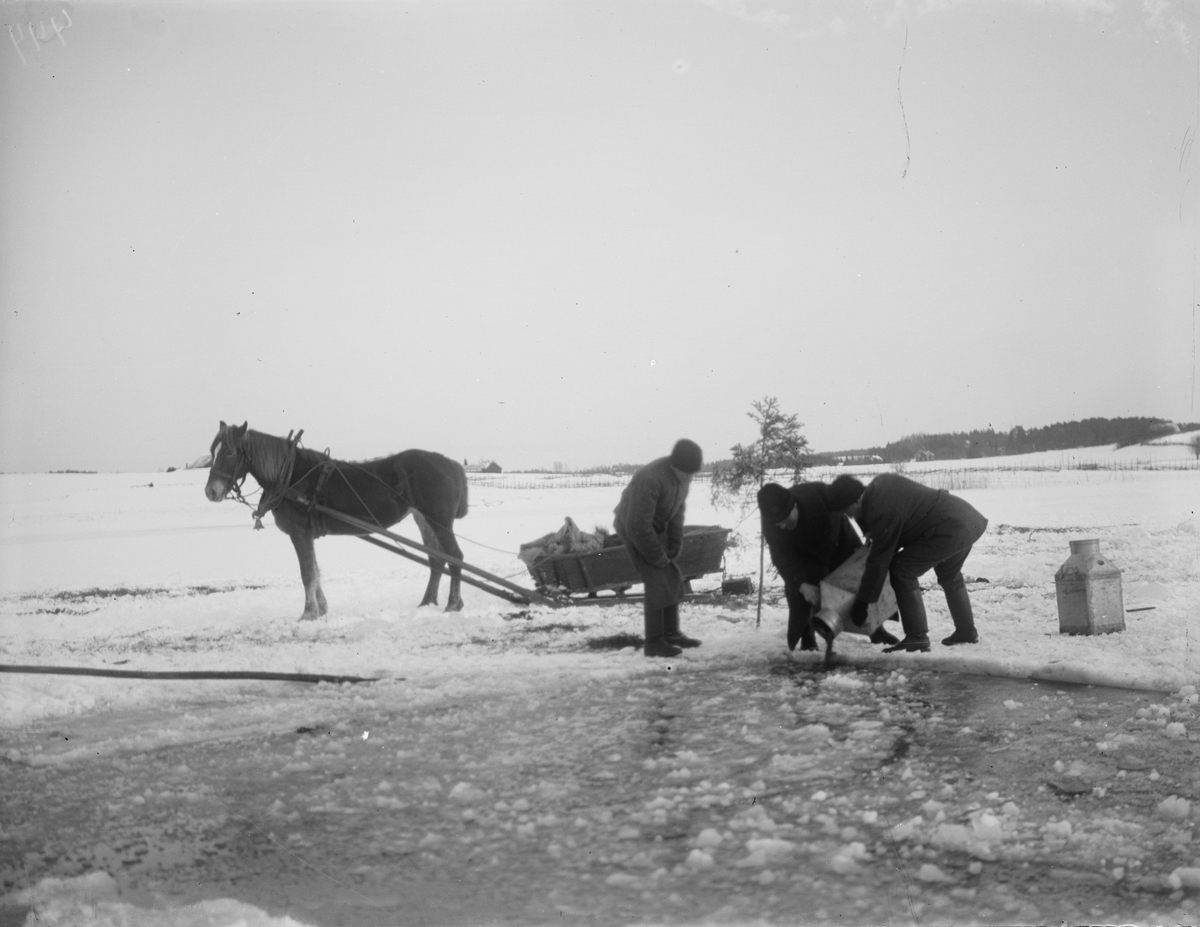 Tre personer häller något i en isvak, sannolikt Altuna socken, Uppland