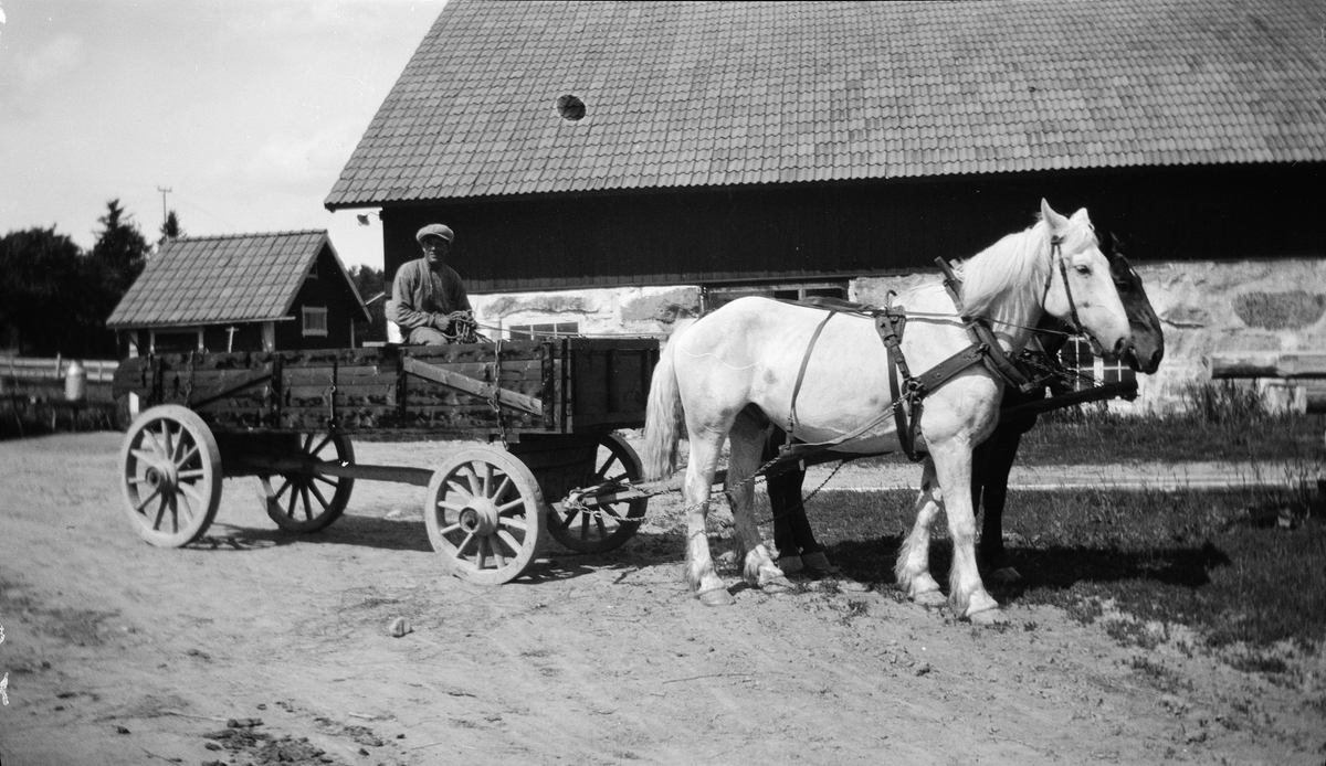 Man i hästdragen vagn, Revelsta, Altuna socken, Uppland 1927