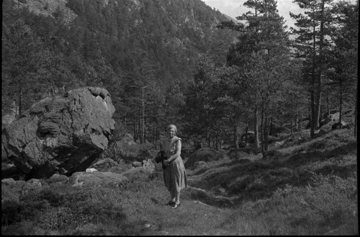 Bilder av skuringsstriper i bergene ved Vadla i Jøsenfjorden (bilde 1-4), Aslaug Skjold fra Sauda (bilde 5), Frida og Paul Johannessen på tur ved Indre Eidane i Jøsenfjorden (bilde 6-13), gården Vadla, ved Jøsenfjorden (bilde 14), Espedalen og Helle ved Høgsfjorden (bilde 15-17), en mann, muligens Erik Nesheim, som sitter utenfor hytta si på Helle (bilde 18-19) og sandtak på Vadla og sandterasse ved Ørekvam, nord for Vadla.