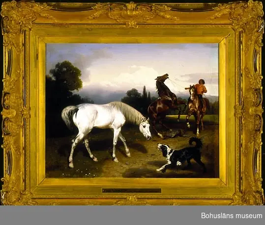 Hästar, ryttare och hund i naturen på landsbygden som omger Rom, Italien. (Romerska campagnan; Campagna Romana.)