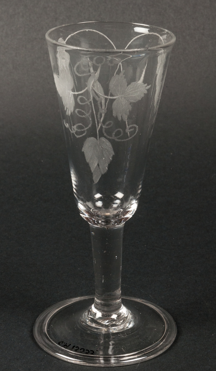 Champagneglas, etsat med bladverk, ax och humlerankor, från 1800-talets början. Låg fot.